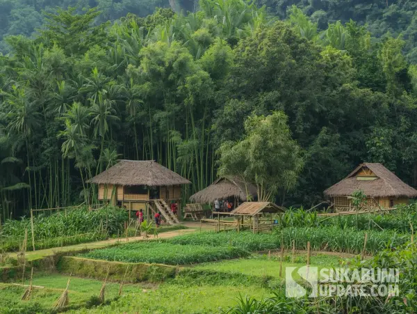 Dalam filsafat Sunda, terdapat sebuah metafora yang merangkum esensi dari kehidupan sosial yang harmonis: Hirup kumbuh jeung manusa kudu lir ibarat awi jeung gawirna (Sumber : Canva)