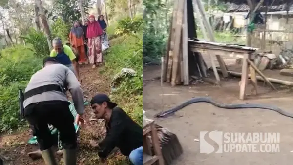 Polisi saat evakuasi jasad Ocang, pawang ulang yang tewas diduga dipatuk ular kobra di Kecamatan Cidadap, Kabupaten Sukabumi. Senin (6/10/2025). (Sumber: Tangkapan layar video amatir warga)