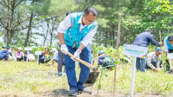 penanaman pohon di kawasan Pantai Muara Cimandiri, Sukabumi, Rabu, 1 Oktober 2025 pukul 09.00 WIB. (Sumber: dok PLN IP UBP JPR)