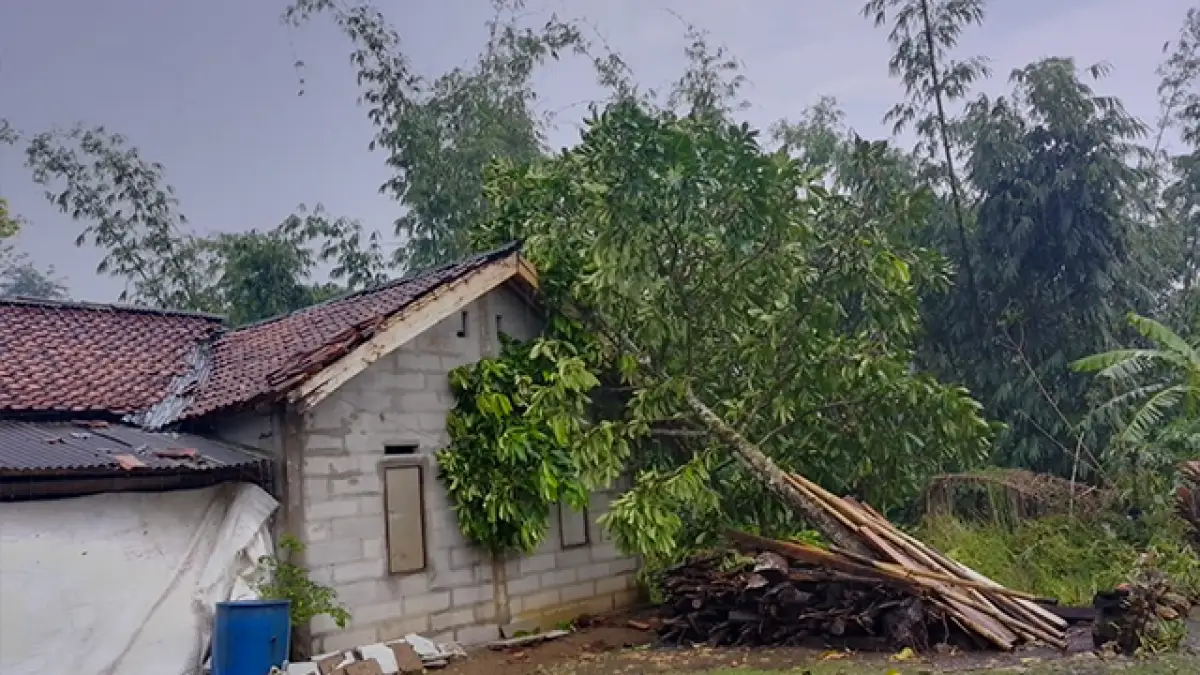 Puluhan Rumah Rusak, Hujan Es dan Angin Kencang Terjang Jampangtengah Sukabumi