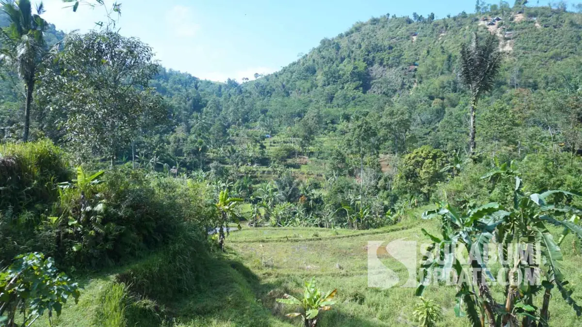 Lokasi tambang berada di kawasan hutan garapan.