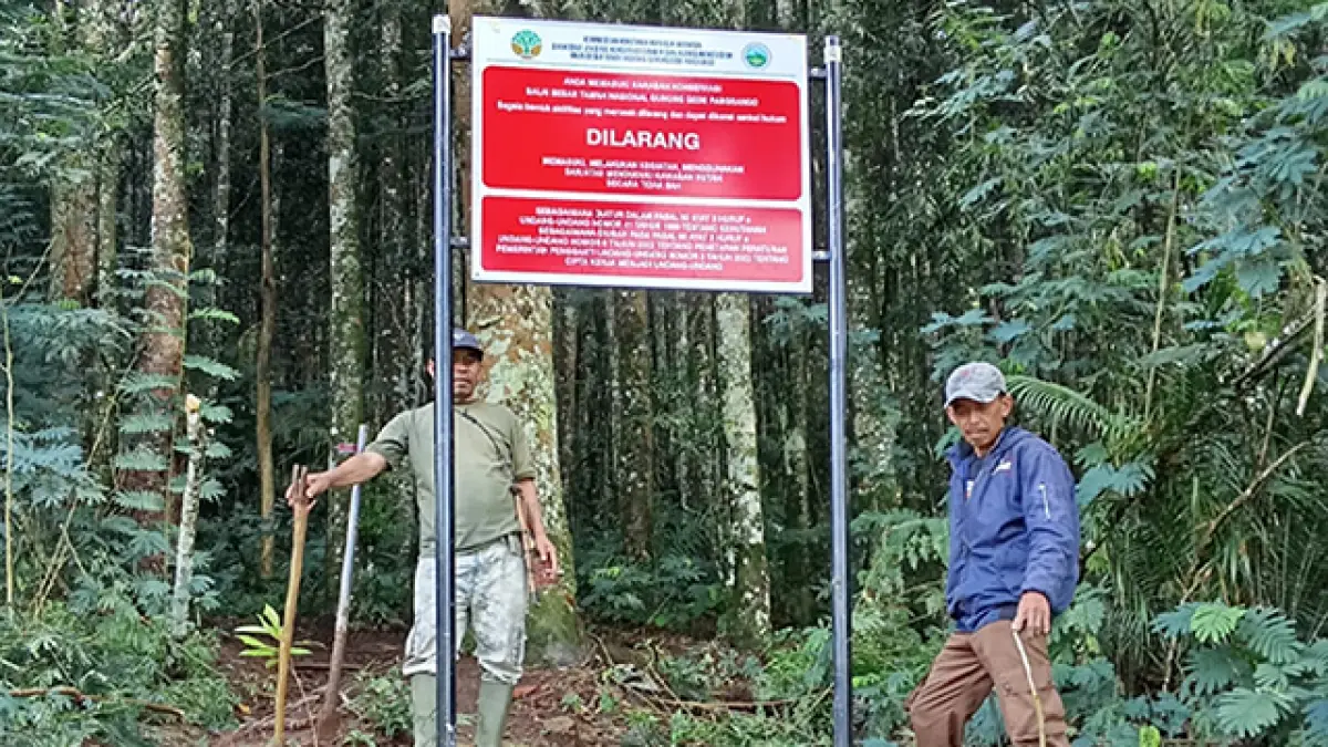 Cantik Tapi Terlarang, Curug Sudin Ditutup Karena Masuk Zona Konservasi TNGGP