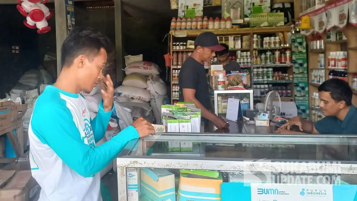 Pengiriman Terlambat, Stok Pupuk Terbatas: Antrean Petani Mengular di Kios Cibitung Sukabumi