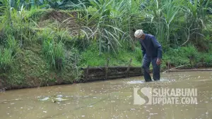 Potret Ki Udar, petani adat Kasepuhan Ciptamulya di sawahnya yang masih tergenang air di Desa Sirnaresmi, Kecamatan Cisolok, Kabupaten Sukabumi. (Sumber Foto: Dok. SU)
