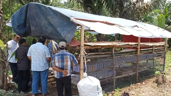 Tim dosen IPB dan UMMI di kandang maggot (Sumber: dok tim dosen)