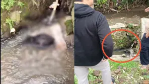 Mayat tersangkut di goro-gorong di Cisaat, Kabupaten Sukabumi | Foto : Dok. Warga