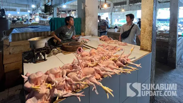Pedagang ayam potong di Pasar Gudang Kota Sukabumi. (Sumber Foto: SU/Turangga Anom)