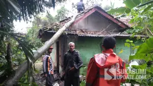 Pohon tumbang timpa rumah warga di Kecamatan nagrak Sukabumi. Senin (13/10/2025). (Sumber: Dok P2BK)