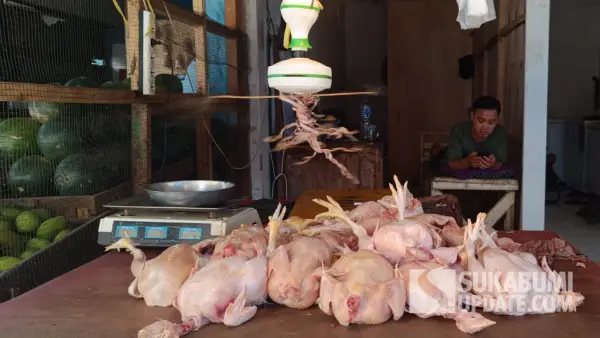 Kios ayam di Pasar Palabuhanrtu, Kabupaten Sukabumi | Foto : Ilyas Supendi