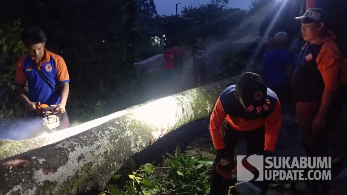 Bencana Angin Kencang di Gunungpuyuh Kota Sukabumi, Pohon Tumbang Hingga 20 Atap Rumah Rusak