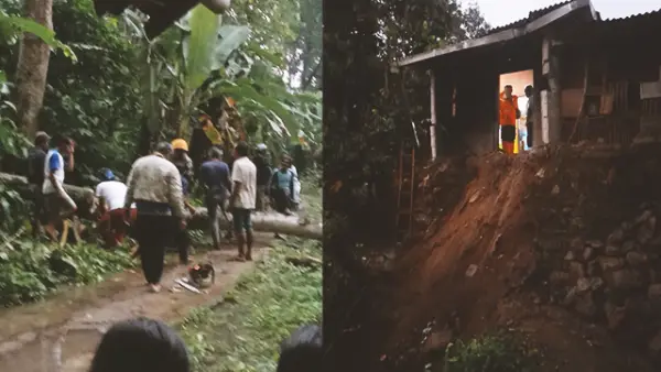 Pohon tumbang di Kampung Anggayuda RT 02 RW 011, Desa Pamuruyan dan tanah longsor di Kampung Cieurih RT 02 RW 08, Desa Sukasirna, Kecamatan Cibadak, Kabupaten Sukabumi. (Sumber : Dok P2BK Cibadak).