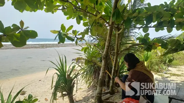Pengunjung di Pantai Cibuaya, Sukabumi menikmati indahnya pesisir pantai. (Sumber: SU/Ragil Gilang)