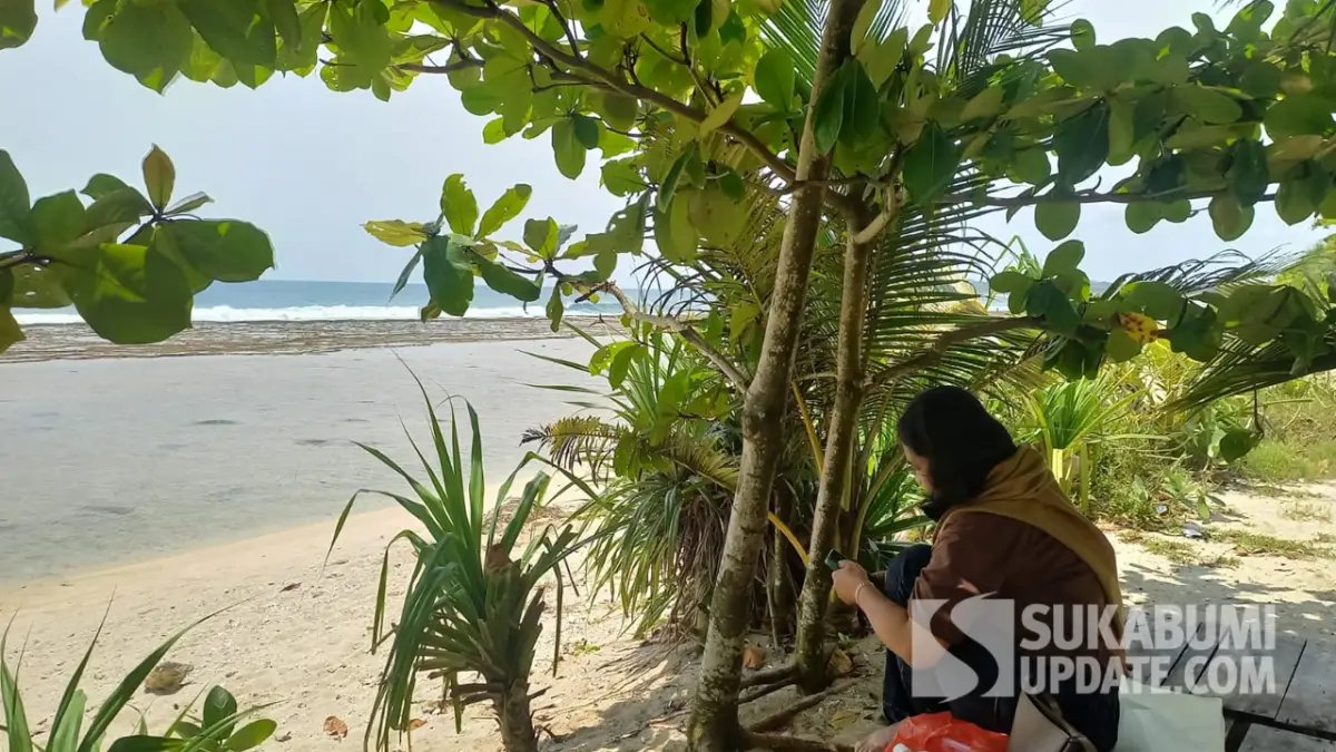 Pesona Pantai Cibuaya Sukabumi Dan Aroma Ikan Bakar Wa Ocos Yang Jadi Daya Tarik
