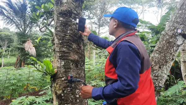 Kegiatan inventarisasi hutan di Taman Kehati AQUA Babakanpari. (Sumber Foto: Istimewa)