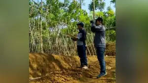 Kegiatan inventarisasi hutan di Taman Kehati AQUA Sukabumi. (Sumber : Istimewa)