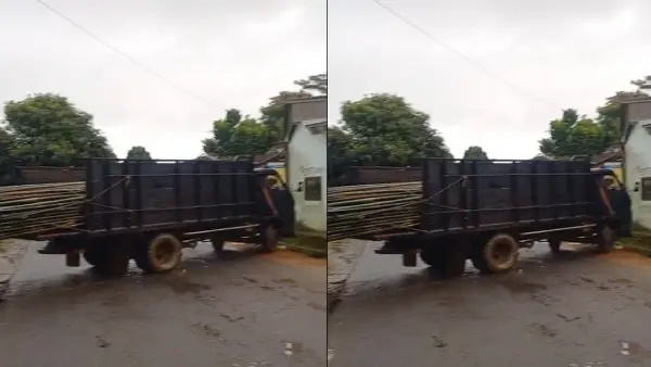 Truk muatan bambu kesulitan beslok akibat bambu telalu panjang | Foto : Dok. Warga
