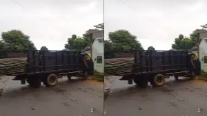 Truk muatan bambu kesulitan beslok akibat bambu telalu panjang | Foto : Dok. Warga