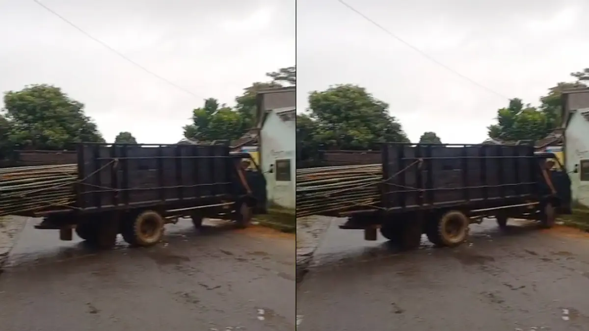 Unik, Melihat Truk di Surade Sukabumi Kesulitan Belok Akibat Bawa Bambu Terlalu Panjang