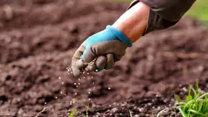 Harga pupuk bersubsidi turun sebesar 20 perse | Ilustrasi pemupukan tanaman by Pixabay