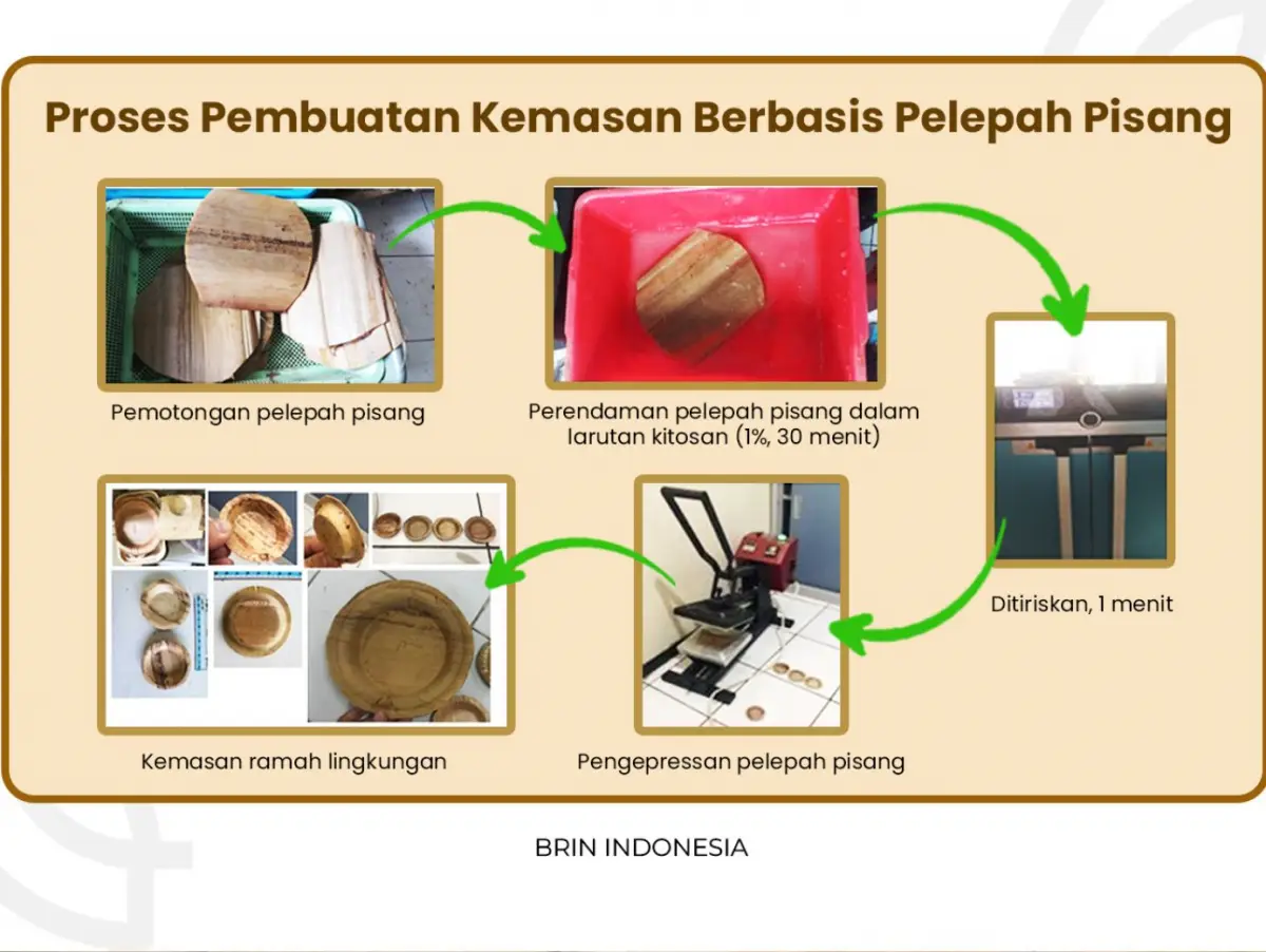 PT Jentera Garda Futura bertugas memproduksi dan memasarkan kemasan makanan berbahan pelepah pinang ini secara komersial