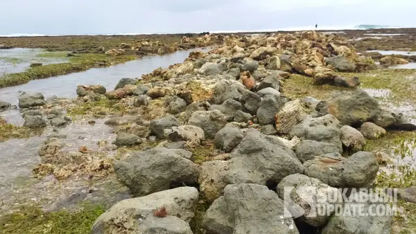 Perusakan karang oleh perusahaan tambak udang di pantai Minajaya, Kabupaten Sukabumi | Foto : Ragil Gilang