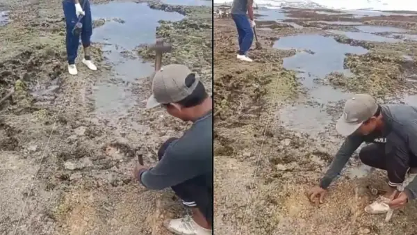 Tangkapan layar video yang memperlihatkan dua pekerja membongkar karang di Pantai Surade Sukabumi. (Sumber Foto: Istimewa)