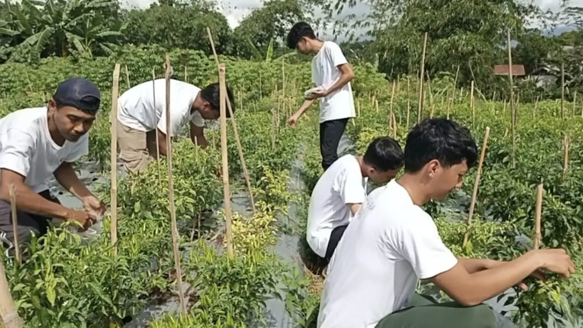 Asyik Bertani, 5 Milenial Sukabumi Tepis Anggapan Sektor Pertanian Bukan Untuk Pemuda