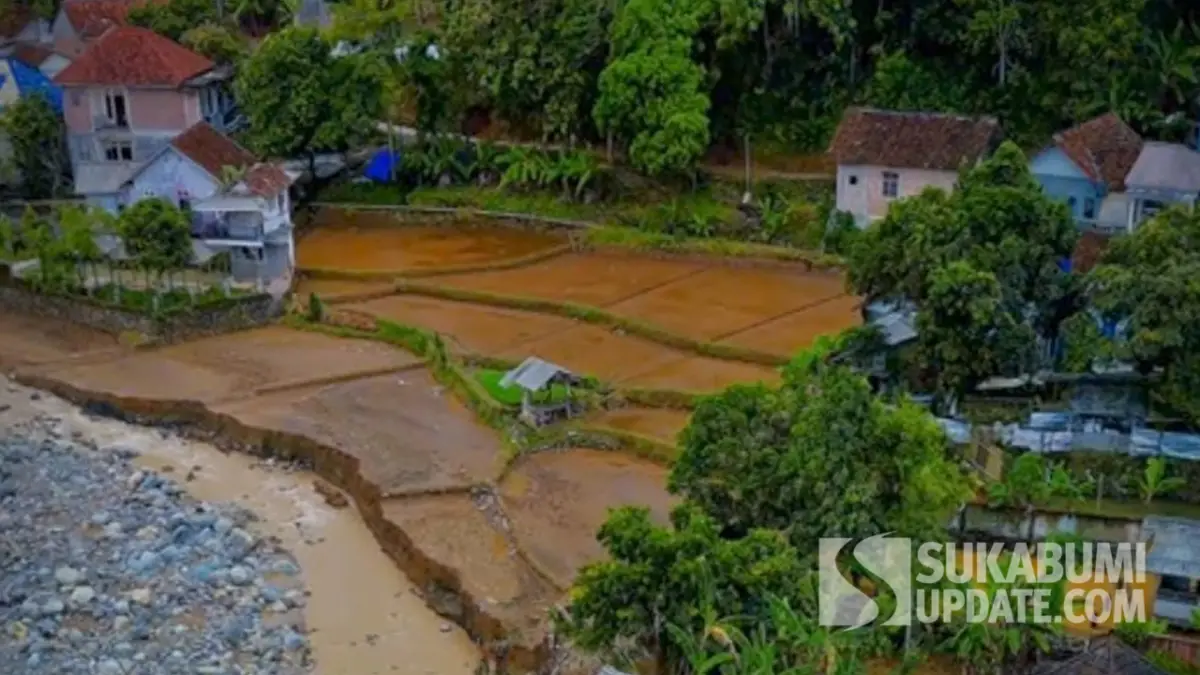 Siaga Cuaca Ekstrem, Distan Sukabumi Minta Petani Waspada Ancaman Gagal Panen
