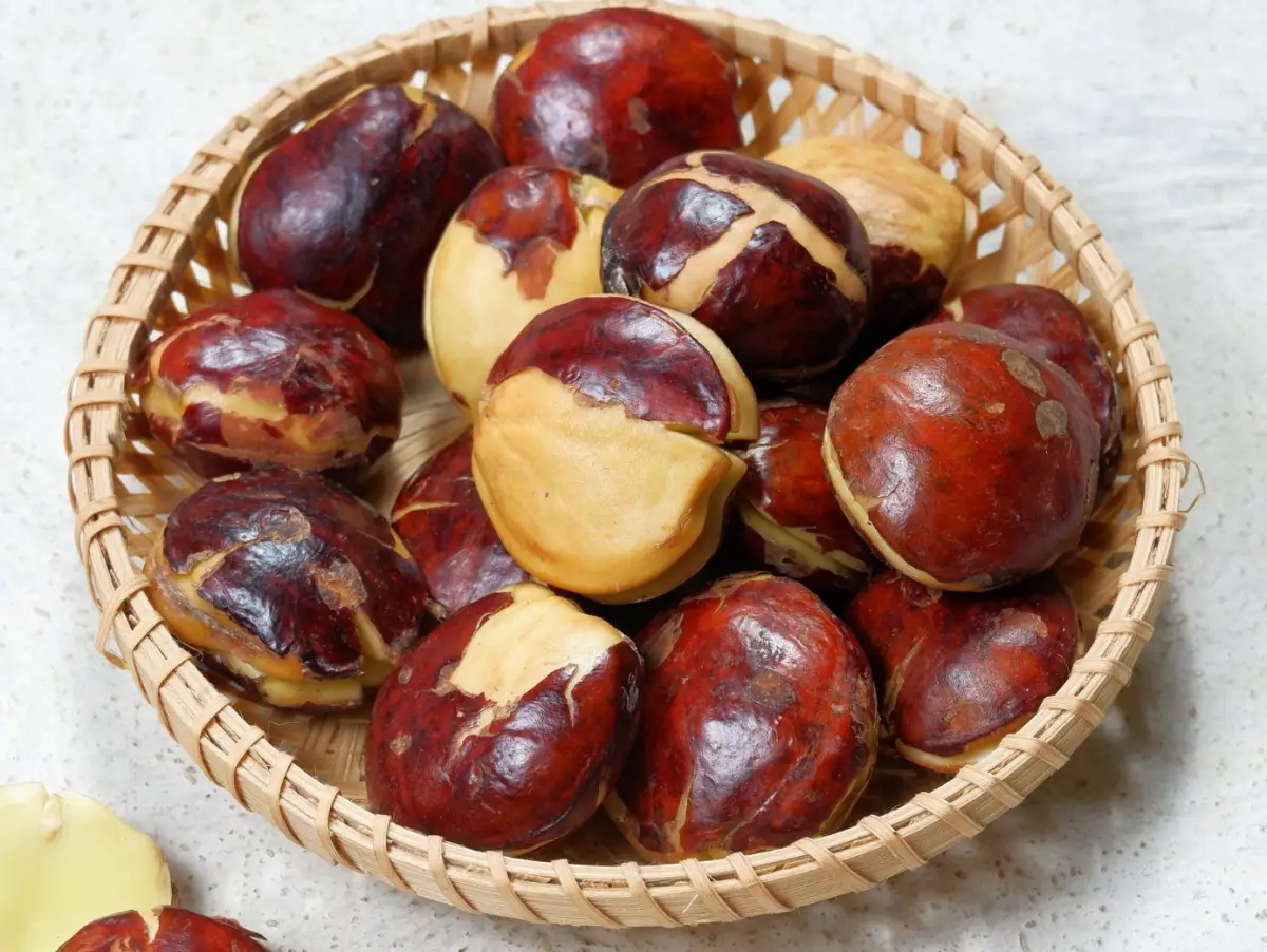 Perbedaan nama Jengkol versus Sepi bukanlah kebetulan. Ini adalah peta rasa. Peta yang memandu para penikmat kuliner untuk memilih: ingin sensasi segar dan renyah, atau ingin kenikmatan lembut nan kaya bumbu.