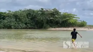Wisatawan selamatkan dua remaja yang tenggelam saat bermain air di muara  Muara Cipamarangan Pantai Minaja Kabupaten Sukabumi (Sumber : dok warganet)