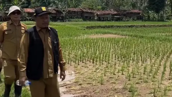 Kadistan,, Aep Majmudin saat melakukan peninjauan ke area pesawahan warga yang terdampak banjir. Senin (3/11/2025). (Sumber: Dok Distan)