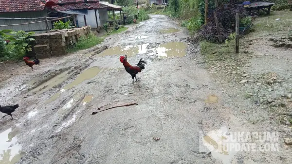 Kondisi ruas jalan Cipalayangan-Cibodas, Kecamatan Cibitung, Sukabumi yang rusak. (Sumber: SU/Ragil Gilang)