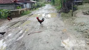 Kondisi ruas jalan Cipalayangan-Cibodas, Kecamatan Cibitung, Sukabumi yang rusak. (Sumber: SU/Ragil Gilang)