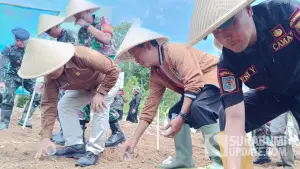 Kepala Dinas Pertanian (Distan) Kabupaten Sukabumi, Aep Majmudin saat mengikuti penanaman jagung di Desa Cibodas, Kecamatan Palabuhanratu, Jumat (7/11/2025). (Sumber: SU/Ilyas Supendi)