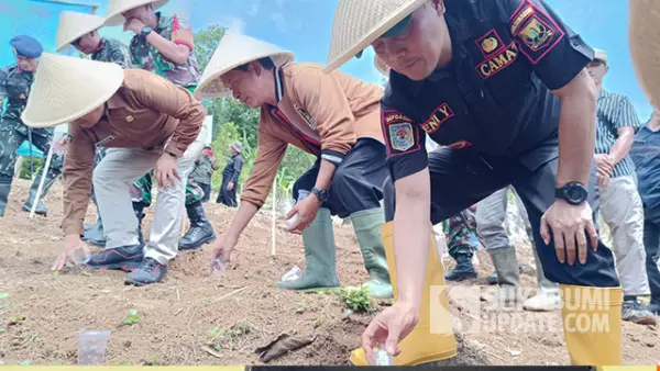 Anggota DPRD Kabupaten Sukabumi dari Komisi III Fraksi PDI Perjuangan, Junajah Jajah Nurdiansyah (tengah), saat melakukan penanaman jagung di Desa Cibodas, Kecamatan Palabuhanratu, Jumat (7/11/2025). (Sumber : SU/Ilyas).