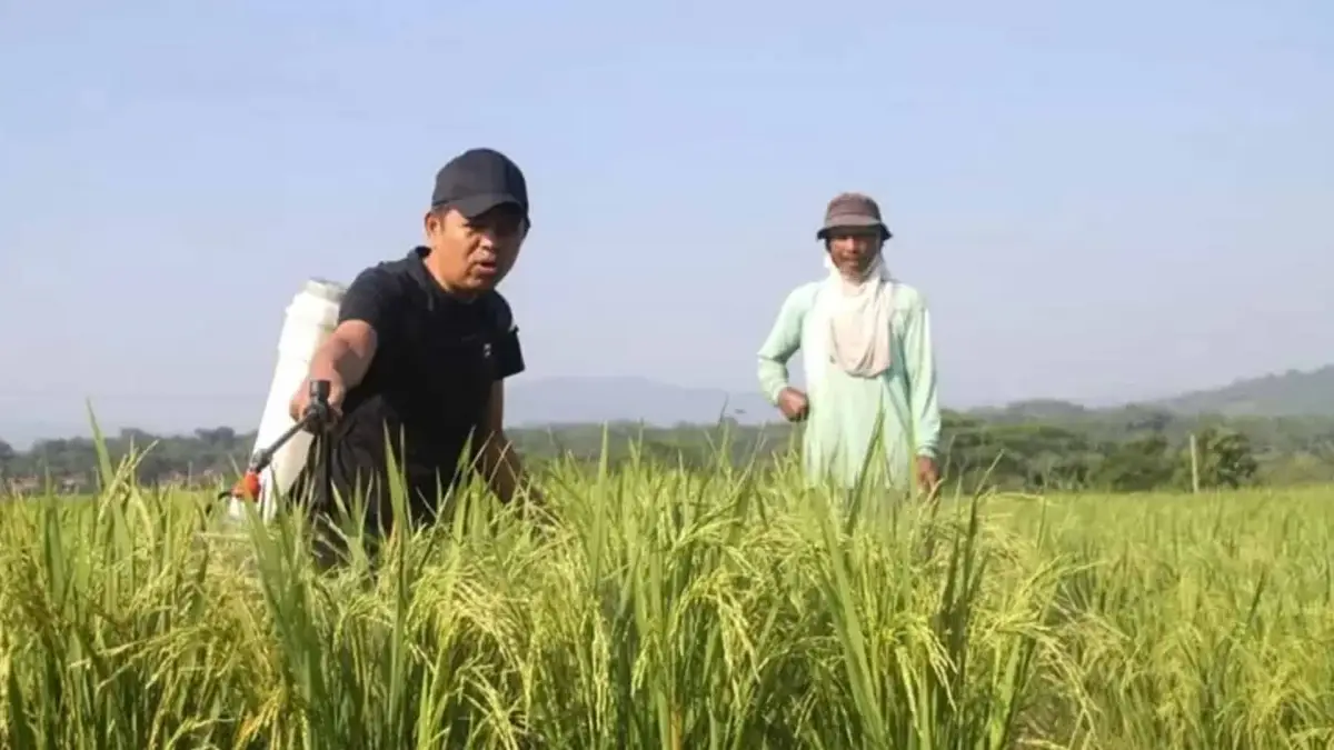 Dedi Mulyadi Gagas Gerbong Gratis untuk Petani: Hasil Panen Bisa Diangkut Kereta