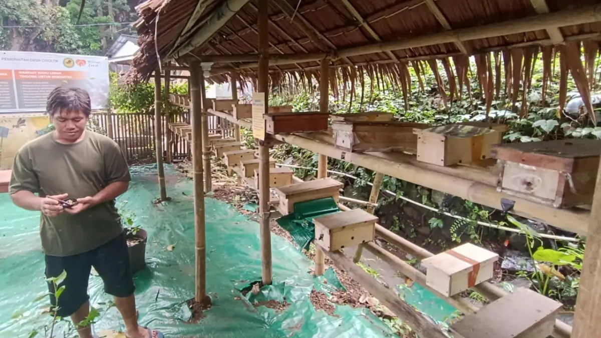 Untuk Para Pelancong, Wisata Edukasi Madu Trigona Hadir di Kawasan Pantai Karanghawu Sukabumi