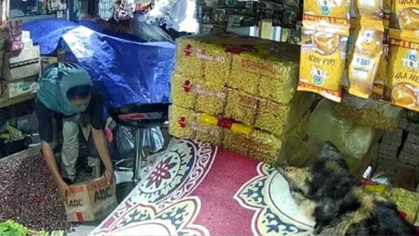 Rekaman CCTV menampilkan seorang pria berpenutup kepala tengah mengangkat kardus berisi dagangan di salah satu kios Pasar Palabuhanratu Sukabumi. (Sumber Foto: Tangkapan layar video CCTV)