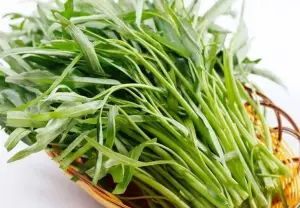 Sayuran Kangkung, salah satu sayuran yang paling populer di Indonesia, selain murah kangkung juga mempunyai banyak manfaat untuk kesehatan (Sumber : hatgionggiadinh)