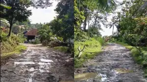 Kondisi jalan ruas Palayangan–Cibodas, Kecamatan Cibitung, Kabupaten Sukabumi | Foto : dok. warga