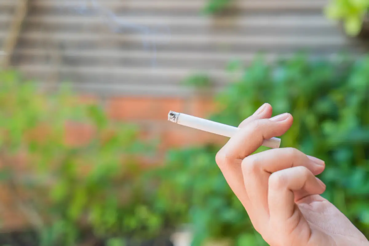 Bahaya Rokok untuk Pencernaan: 7 Dampak Serius yang Wajib Diwaspadai