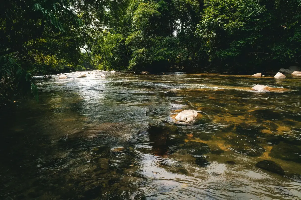 Dari puncaknya, mengalir kehidupan di dataran rendah. Hormati hulu, jaga hilir.
