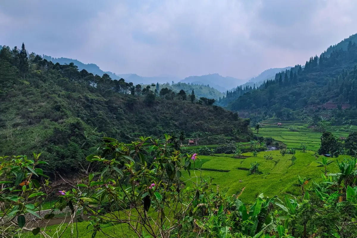 nugerah terpenting Bumi. Mengalirkan energi, membersihkan jiwa. Jangan sia-siakan