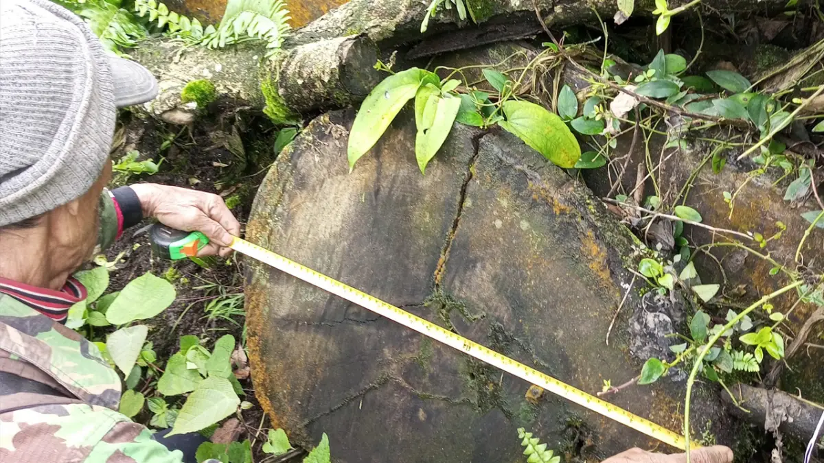 Warga Sebut Pembalakan Liar di Gunung Salak Sukabumi Ancam Ketersediaan Air Bersih