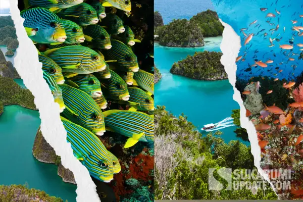 Puncak Kampanye: Tagar #SaveRajaAmpat mulai menjadi trending topic di berbagai platform media sosial (terutama X/Twitter) pada Rabu, 4 Juni 2025, dan berlanjut sepanjang bulan Juni 2025. (foto: Istimewa)