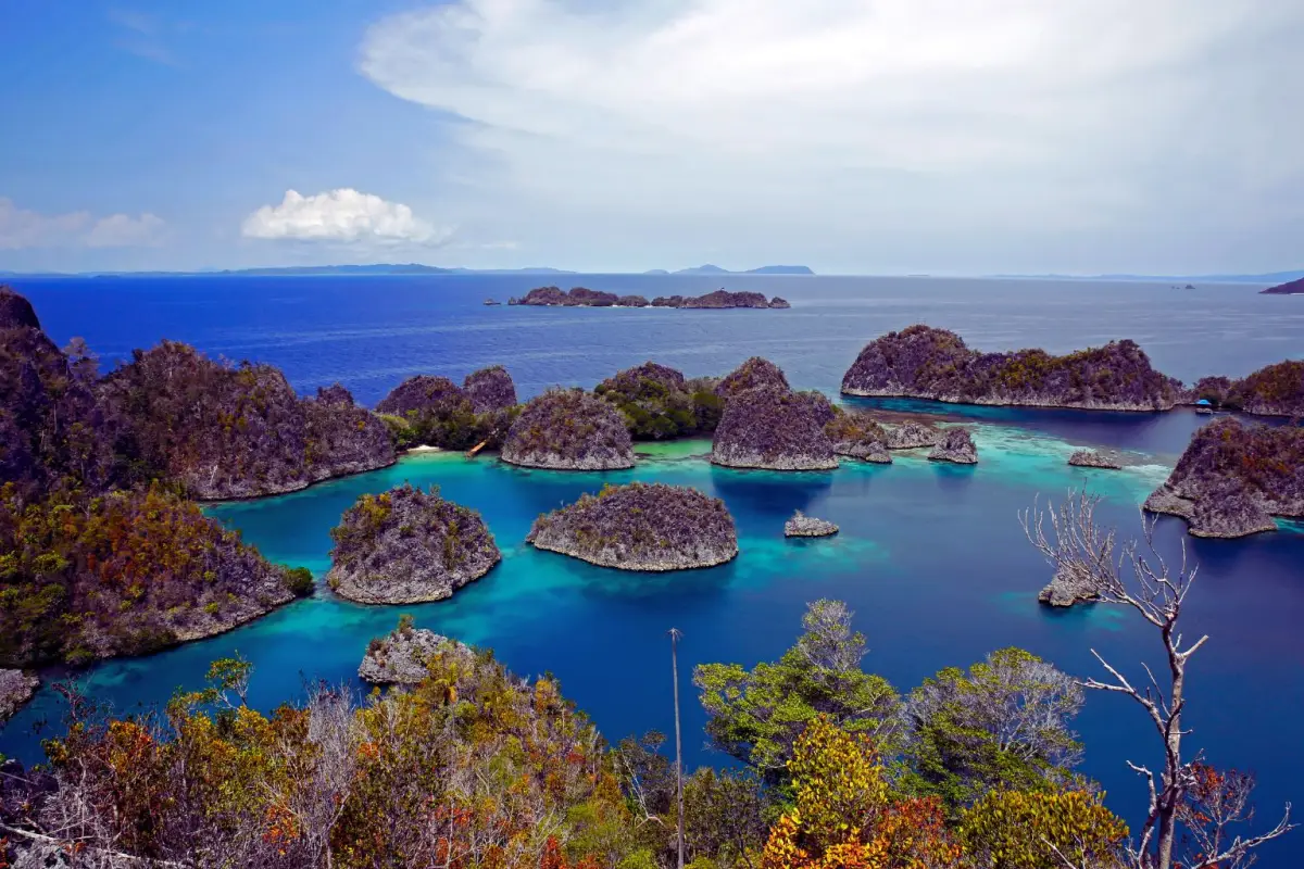 #SaveRajaAmpadipicu oleh kekhawatiran dan penolakan keras dari masyarakat, aktivis, dan organisasi lingkungan (seperti Greenpeace) terhadap ekspansi dan aktivitas pertambangan nikel di beberapa pulau yang termasuk dalam wilayah Raja Ampat, seperti Pulau K