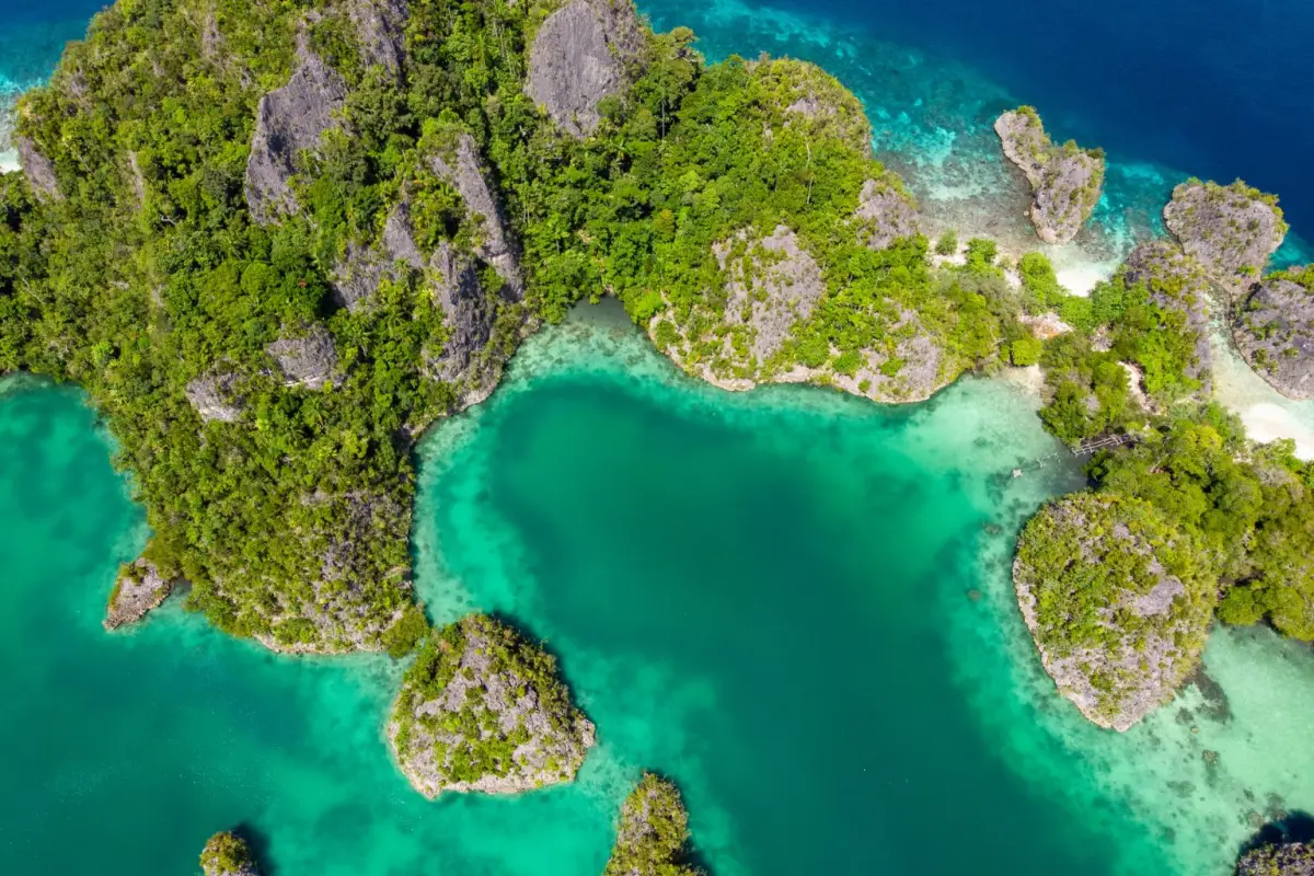 Tekanan publik yang masif ini berujung pada tindakan nyata dari pemerintah, seperti pembekuan atau peninjauan ulang Izin Usaha Pertambangan (IUP) di kawasan tersebut pada bulan yang sama.