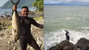 Kiri Ilustrasi Ikan Kuwe Gerong, Kanan Detik-detik Pemancing Tersapu Ombak Besar di Pantai Cikeueus Ciemas Sukabumi. (Sumber : Sukabumiupdate.com/Kiri(Tangkapan layar video)).