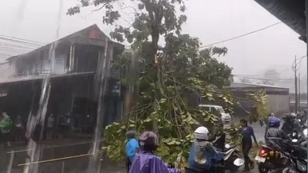 Dahan pohon patah tutupi Jalan Nasional di Palabuhanratu, Sukabumi. Kamis (20/11/2025). (Sumber: Dok : Warga)