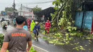 Evakuasi dahan pohon jadi di Jalan nasional Palabuhanratu-Sukabumi. (Sumber: Istimewa)